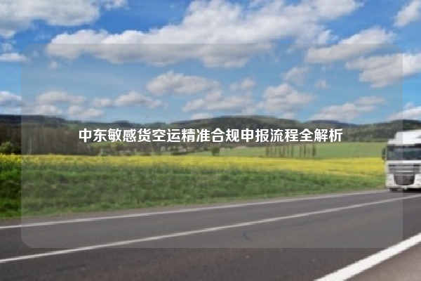 中东敏感货空运精准合规申报流程全解析