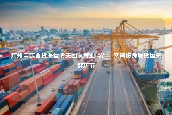 广州中东普货海运清关团队专业吗？一文揭秘跨境货运关键环节