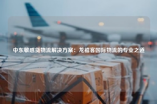 中东敏感货物流解决方案：龙禧客国际物流的专业之道