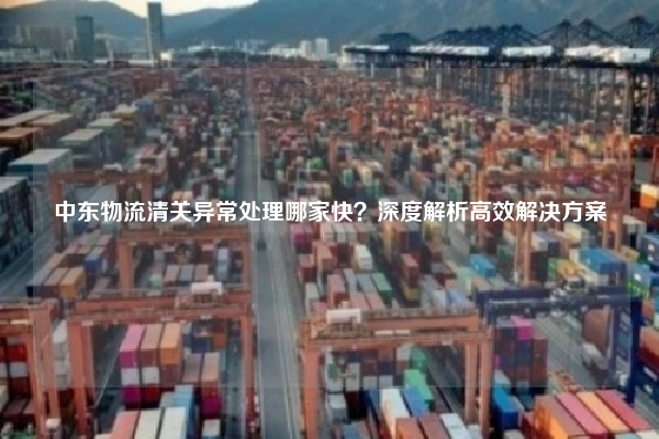 中东物流清关异常处理哪家快？深度解析高效解决方案