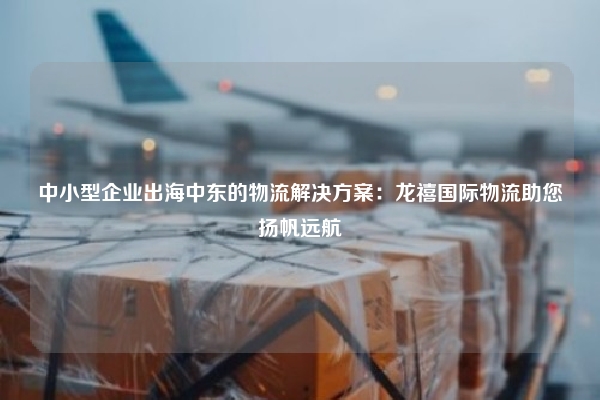 中小型企业出海中东的物流解决方案:龙禧国际物流助您扬帆远航