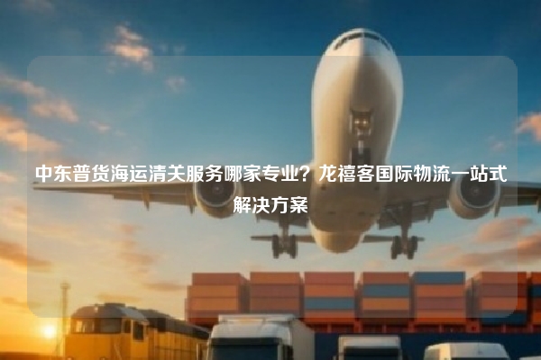 中东普货海运清关服务哪家专业?龙禧客国际物流一站式解决方案