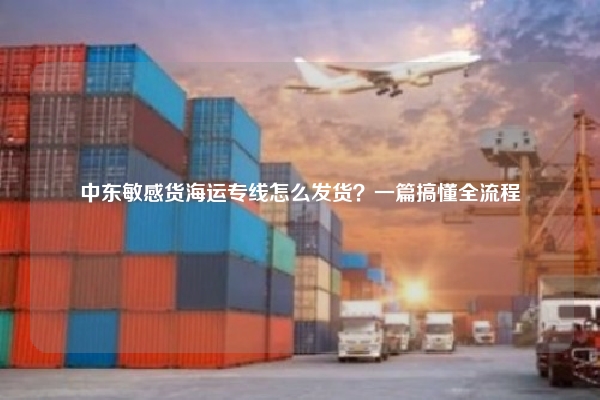 中东敏感货海运专线怎么发货?一篇搞懂全流程